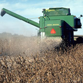 soybean price forecasting