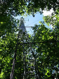 Tower on Bartlett Experimental Forest