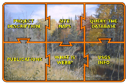 (WEBB puzzle)