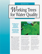Working Trees For Water Quality