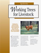 Working Trees For Livestock