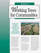 Working Trees For Communities