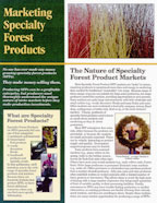 Marketing Specialty Forest Products