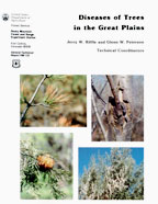 Diseases Of Trees In The Great Plains