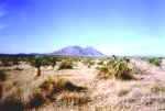 A desert landscape