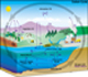 carbon cycle