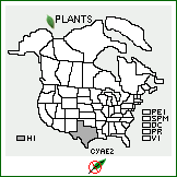 Distribution of Cynodon aethiopicus W.D. Clayton & Harlan. . 