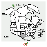 Distribution of Cynodon magennisii Hurcombe (pro hybr.). . 