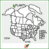 Distribution of Cynodon transvaalensis Burtt Davy. . 