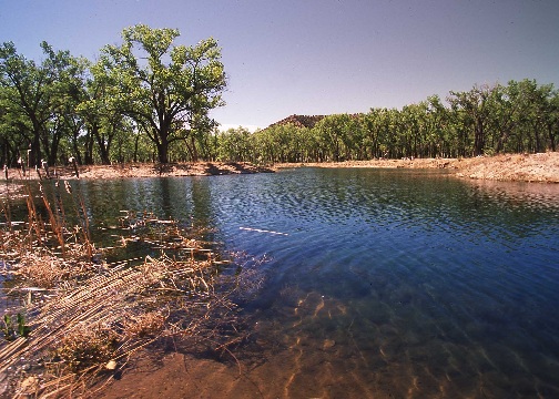 photo: river in forest