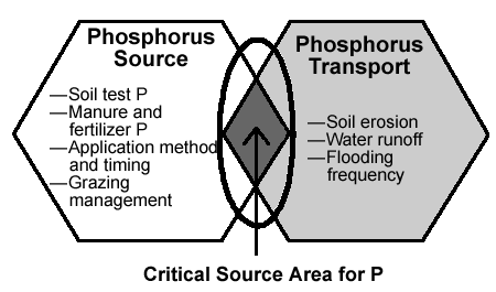 Figure 14. Phosphorus Index Components