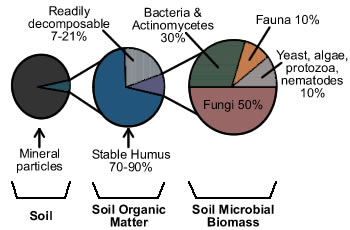 Figure 2. Components of Soil Organic Matter