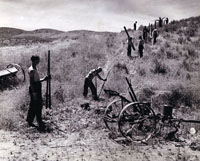 CCC Enrollees building fences to control grazing at camp SCS-Ida-10, Weiser, Idaho -- National Archives-College Park 35G No3013 (click to enlarge)
