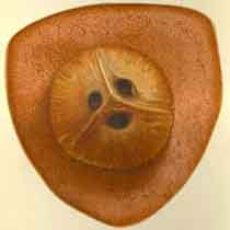 Color graphic of a coconut showing the three "eyes."