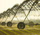 Image for Agricultural Resources and Environmental Indicators: Irrigation Water Management