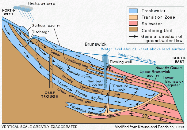 Diagram showing the aquifer system near Brunswick, Georgia, which includes an artesian well. 