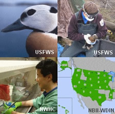 Courtesty of (l to r) USFWS, USFWS, USGS, WDIN