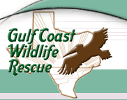 Gulf Coast Wildlife Rescue logo