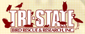 Tri-State Bird Rescue logo