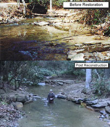 Water And Riverine Systems Project - Sawmill Creek