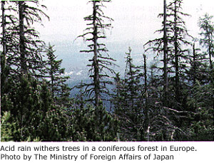 Acid-rain damage, Eastern Europe