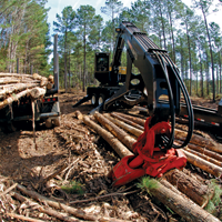 Timber Product Output (TPO) in the South in 2005