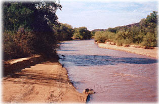 Picture showing how soil erosion is a major contributor of phosphorus to streams. Photograph by Lisa Carter.
