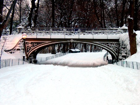 Feb. 12, 2006, snow in Central Park