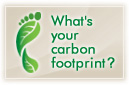 What's your carbon footprint?