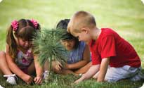 Children planting a tree