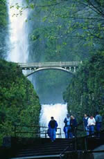 Photo of a person standing below a bridge across a waterfall.