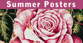 summer posters