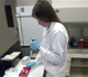 USDA Biological Science Technician, Ginger Young, prepares fecal samples for analysis at the wildlife disease laboratory at the USDA National Wildlife Research Center in Fort Collins, Colorado.