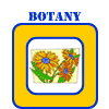 Botany