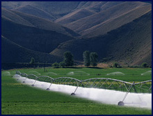 Ag/Agricultural water management