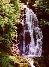 Picture of Waterfall