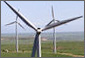 Photo of wind turbines in a field.