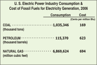 At the top of side two is a table for the U.S. electric power industry's consumption and cost of fossil fuels for electricity generation in 2006. The fossil fuels represented are coal, petroleum, and natural gas. For more information, contact the National Energy Information Center at 202-586-8800.