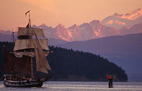 You never know what you'll see in Washington Waters - sailing ships, orca, seals, porpoises! 