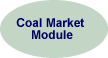 Coal Market Module