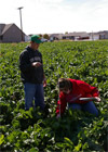 Students participate in agriculture program. © Flickr user Northwest College Agriculture. Licensed under Creative Commons Attribution 2.0 Generic.