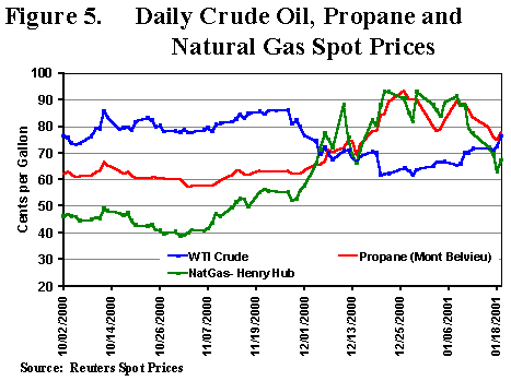 Daily Propane and WTI Prices, October 2000-mid January 2001