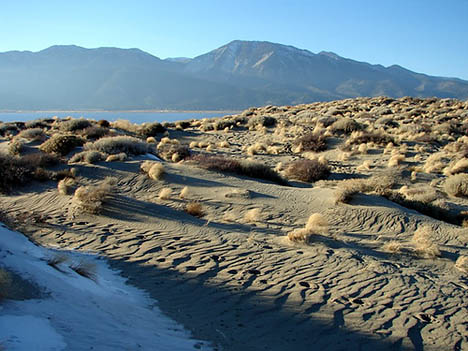 nevada dunes winter photo