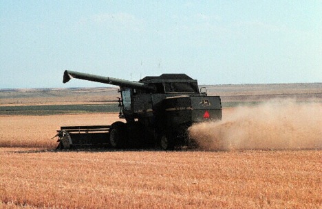 Grain Tractor on Farm Photo