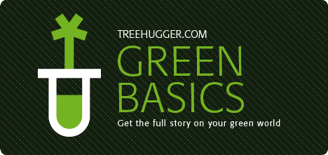 green basics page header