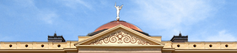 Capitol Roof picture