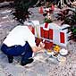 Photo of Tin Yau Yee honoring his ancestors by laying out foods on an ancestral grave