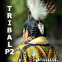 Tribal P2