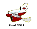 About FEMA