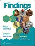 Cover image of Findings February 2009 issue